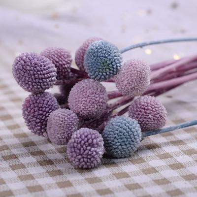 China Real Romantic Preserved Dry Bouquet Billy Balls Natural Dried Rose Vase Filler Flower Dried Preserved Flowers Arrangements for sale