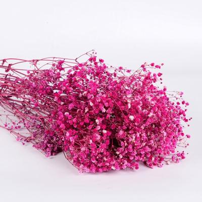 China Flower Arrangement Makers Dried Artificial Gypsophila Flower Bouquet Babies Breath Wedding Decoration Home Preserved Dry for sale