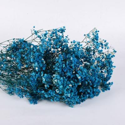 China Zhongshan Best Selling Dry Flower Baby Flower Arrangement Gysophila's Breath Flowers For Home Wedding Decoration for sale