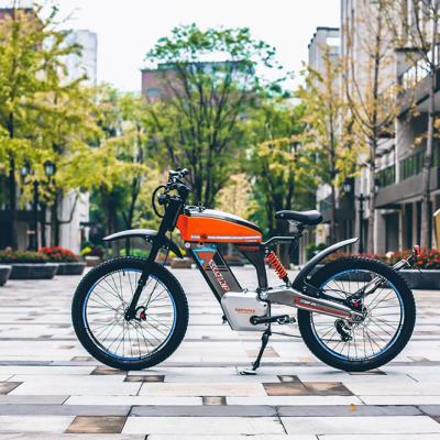 China Forge aluminum alloy SANTAPEX 250W style retro tire electric city bike adult fat for Europe for sale