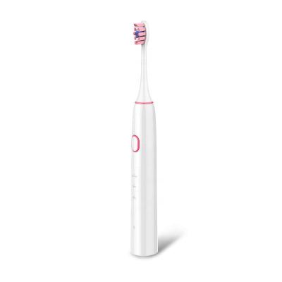 China Electric Toothbrush USB Charging Three Speed ​​Sound Wave Household Waterproof Soft Bristle Vibrating Electric Toothbrush Above 1500mah for sale