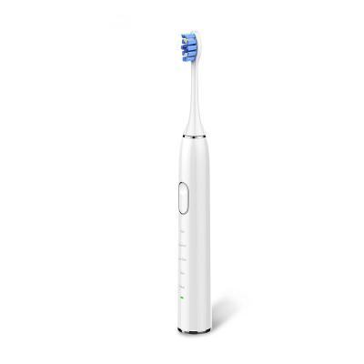 China Teeth Cleaning Adult's Style Multi-Mode Intelligent Rechargeable Sonic Electric Toothbrush Electric Toothbrush for sale