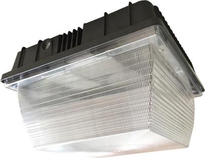 China dimmable garden parmida led canopy light 70 watt 40w for sale