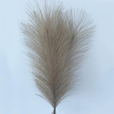 China 30 Inch Fluffy Artificial Fake Tall Pampas Grass Flower Decor Decoration Big Fluffy 75cm For Wedding for sale