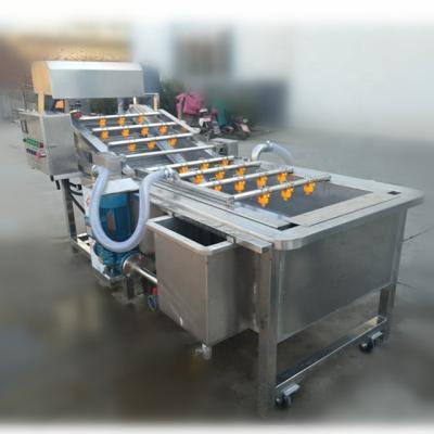 China Commercial High Efficiency 300-500kg/H Mini Apple Fruit Vegetable Washing Machine For Sale for sale