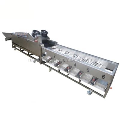 Chine High Efficiency 304stainless Steel Potato Weight Onion Sorter à vendre