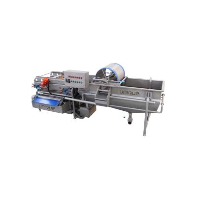 China Fruits And Vegetables Jetting Machine Lettuce Washing Machine Automatic Vegetable Washing Machine for sale