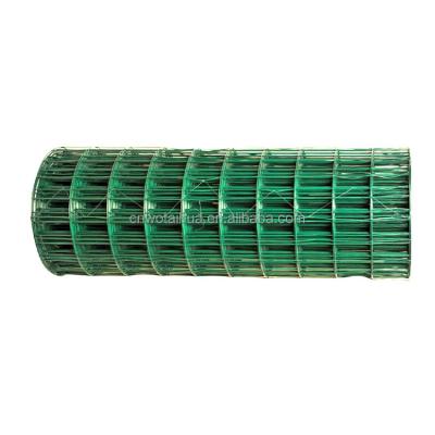 China Corrosion Resistance Factory Sale Directly 3.0 Mm PVC Coated Welded Wire Mesh Rolls for sale