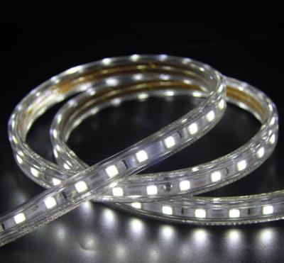 China Christmas 220V / 110V Multi Color Led Strip IP65 SMD5630 Super Bright 12W /  M for sale