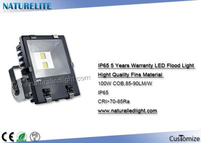 China Finned 100W Led Flood Light Epistar 70-85 CRI 85-90lm/W Lumens for Building, Advertisement, ect Lighting for sale