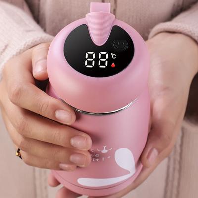 China New PORTABLE Smart Water Bottle With LED Temperature Display Mini Bottle Hot Tea Cup for sale