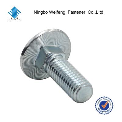 China 1/4 No Steel M4 M5 M6 M8 M10 3/8 1/2 Slot Carriage Bolt SS Soft Square Neck Square Half Round Head Bolts for sale