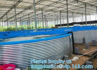 China Aquakultur-Pool PVC beschichtete Stoff ÜBERZOGENE FAHNE Planen-Gewächshaus-Fisch-Teich-Panzerkrebse Koi Culture Child Water Pool zu verkaufen