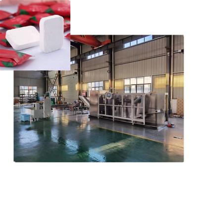 China Nonwoven Fabric Product DL-E Towel Compressor With Fast Logistics Compressed Towel Making Machine for sale