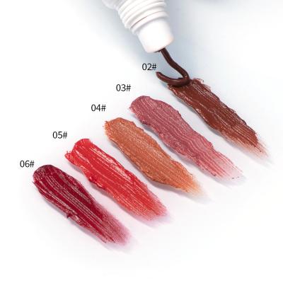 China Waterproof Moisturize Nude Matte Lip Gloss Colored Lipstick Nude Color Lipstick Color Sample Free Trial for sale