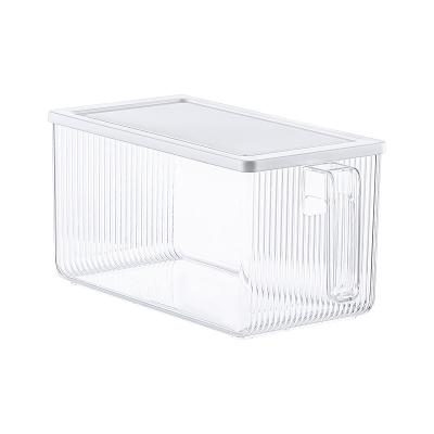 China Portable Freshness Keeping Kitchen Refrigerator Large Capacity Vegetable and Fruit Crisper with Lid Transparent Plastic Sorting Storage Box for sale