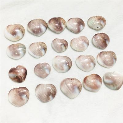 China China natural heart shiva eye shell polished sun stone shell conch fossil love heart for sale