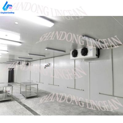 China Construction worksÂ   Walk In Cold Room Freezer Storage Room For Meat Seafood Vegetable Fruit Storage for sale