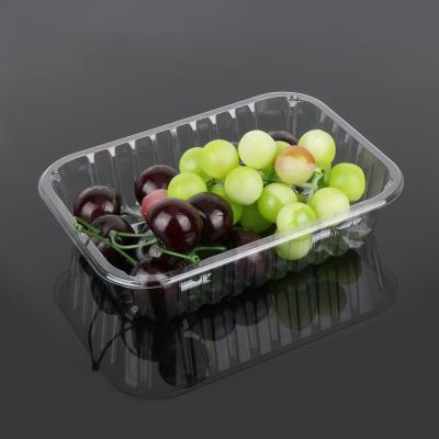 China Food Fruit Trays Recyclable Healthy Friendly Disposable Transparent Plastic Containers for sale