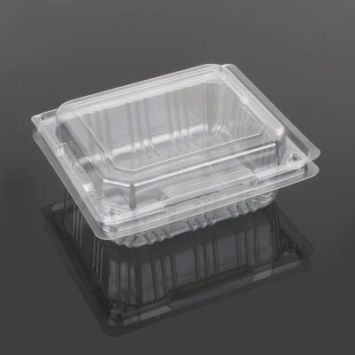 China Recyclable Wholesale Small Plastic Food Packaging Packing Transparent Box for sale