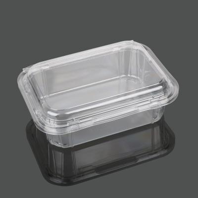 China Recyclable Plastic Square Package Containers Small Packaging Box For Foods for sale