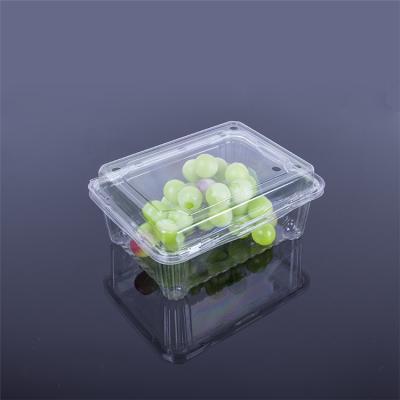 China Disposable Fresh Fruit Disposable Clear Plastic Blister Packing Box for sale