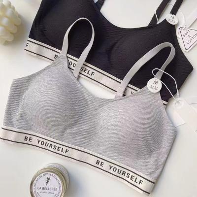 China Breathable Sports Custom Logo Letter Ribbed Yarn Cotton Coeds Cozy Wireless Slim Private Label Bra for sale