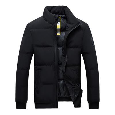 China Windproof Factory Slim Fit Warm Long Sleeves Casual Down Jacket Winter Men Coat for sale