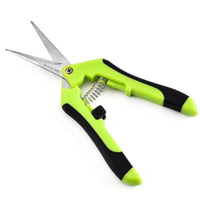 China Professional Titanium Anti-Slip Handle Blade Blade Garden Plant Trimming Shears Titanium Scissors for sale