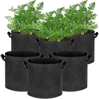 China Garden Grow Pot Customized 5/7/10 Gallon Potato Felt Grow Bags For Hydroponics Plant for sale