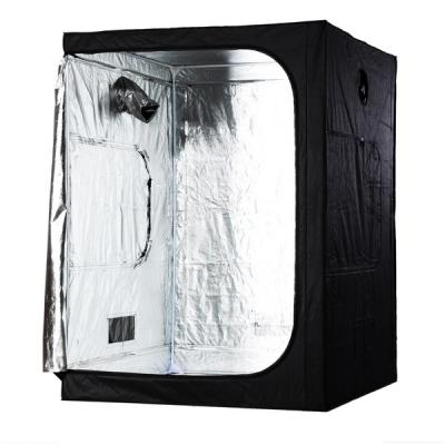 China Easily Assembled Orientrise Garden Greenhouse 5x5 Grow Tent For Hydroponic Plant for sale