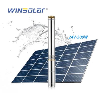 China WINSOLAR 24v 300w Irrigation and Agriculture Plastic Impeller DC Irrigation Solar Powered Water Pump for sale