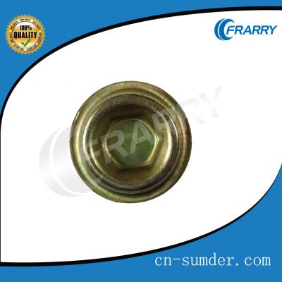 China Sprinter Auto Parts Screw Plug 1179970230 For Crankcase W901 W902 - Frarry OEM Cylinder Standard for sale