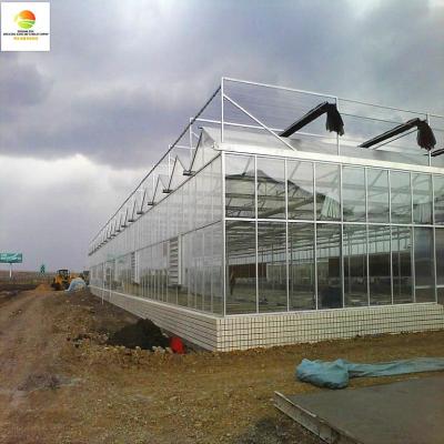 China Stable Structure Used Polycarbonate Commercial Greenhouse With Hydroponic System For Sale for sale