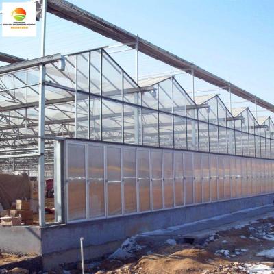 China China Aluminum Frame Multi Span Metal Frame Multi Span Large Stable Structure Insulated Green House For Agriculture for sale