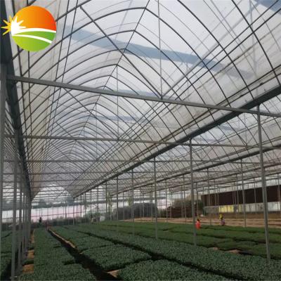 China Multi-span Stable High Quality PC Glass Structure Greenhouse for sale