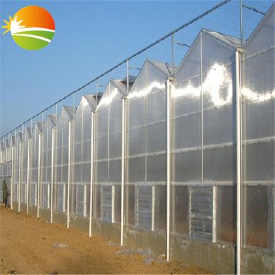 China Stable Structure China Metal Pipe Polycarbonate PC Greenhouse for sale