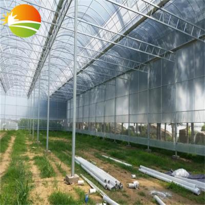 China Stable Structure Agricultural Greenhouse With Polycarbonate PC Sheet for sale