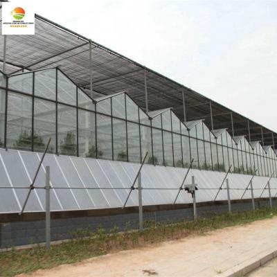 China Stable Structure Easily Assembled Fast Delivery Smart Multi Span 10mm Polycarbonate Greenhouse For Commercial Use for sale