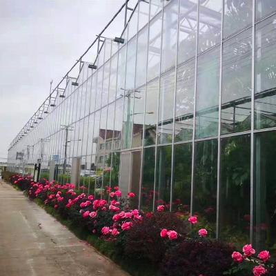 China Stable structure cost-effective commercial multi-span polycarbonate panel PC sheet greenhouse for sale for sale