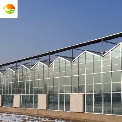 China Stable Structure Commercial Used Intelligence Green House PC Sheet Hydroponic Greenhouse For Sale for sale