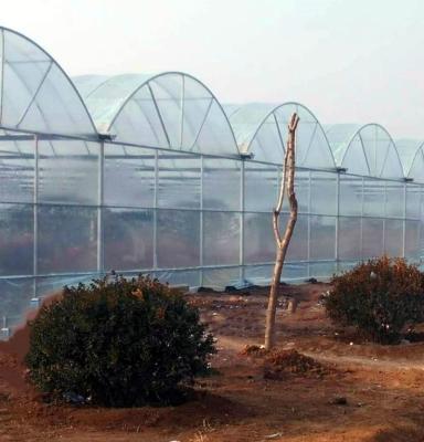 China Stable Structure Easily Assembled Large Size Agricultural Greenhouse Customized From China Factory At Low Price for sale