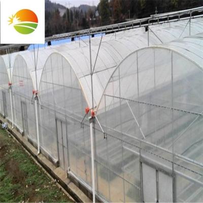 China Stable Structure Easily Assembled High Quality Low Cost Full Span Agricultural Poly Tunnel Greenhouse For Strawberry for sale