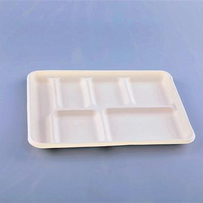 China Eco-Friendly Compostable 100% Biodegradable Eco-Friendly Pulp Bagasse 6-Compartment Surgarcane Rectangular Tray for sale