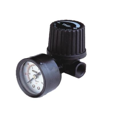 China Lighter weight REGULATOR - R10 SERIES for sale