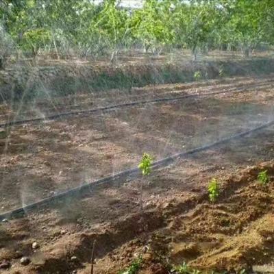 China Anti-Abrasion Wholesale Rain Hose Spray Hose 1 Hectare Watering For Agriculture Irrigation System for sale