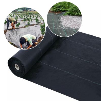 China Wholesale PP Weed Mat To Stop Grass Growing Long Lifespan Weed Control Mat In Greenhouse for sale