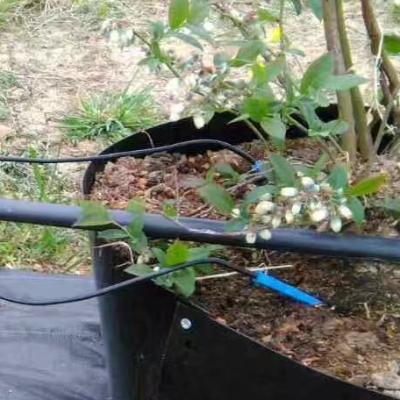 China Plastic Drip Irrigation Greenhouse Farmland Sale Two Branches Drip Arrow For Industry Use for sale