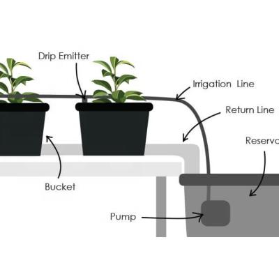 China Drip Irrigation Hot Greenhouse PVC Selling Branch Plastic Single Drip Arrow For Industry Nursery Use for sale