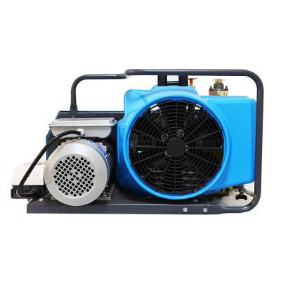 China Hot sale mini air compressor 100l 220V lubricated diving high pressure breathing air compressor for diving for sale